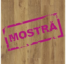 Produktbild: Handmuster Laminat Masterfloor 7.0 Eiche 3709 AH