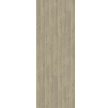 Ansicht von hellem Laminatboden