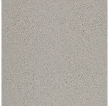 Bodenfliese Feinkorn R9A Rako Taurus Granit Nordic 29,8x29,8x0,9cm