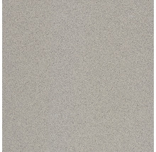 Produktbild: Bodenfliese Feinkorn R9A Rako Taurus Granit Nordic 29,8x29,8x0,9cm