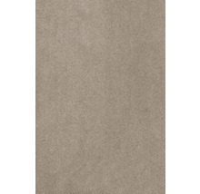 Produktbild: Teppichboden Kräuselvelours Sedna® Proteus 100% Econyl® Garn beige 400 cm breit (Meterware)