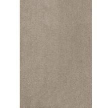 Teppichboden Kräuselvelours Sedna® Proteus 100% Econyl® Garn beige 500 cm breit (Meterware)