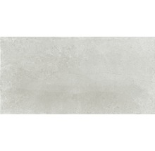 Feinsteinzeug Wand- und Bodenfliese Lit greige satin 60x120 cm