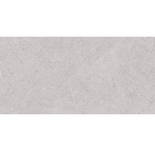 Feinsteinzeug Wand- und Bodenfliese Lit grigio satin 30x60 cm