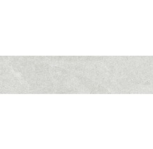 Feinsteinzeug Wand- und Bodenfliese Lit greige 7,5x30 cm