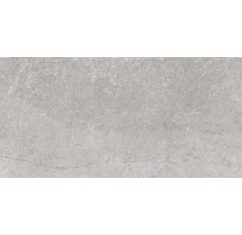 Feinsteinzeug Wand- und Bodenfliese Lit grigio 30x60 cm