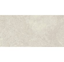 Feinsteinzeug Wand- und Bodenfliese Lit greige 30x60 cm