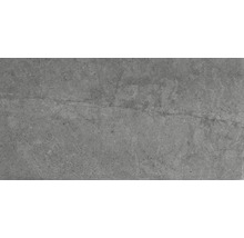 Feinsteinzeug Wand- und Bodenfliese Lit antracite 30x60 cm