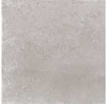 Feinsteinzeug Wand- und Bodenfliese Lit grigio 60x60 cm