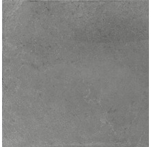 Fliese aus Steinzeug