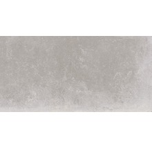 Feinsteinzeug Wand- und Bodenfliese Lit grigio 60x120 cm