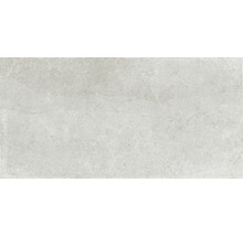 Feinsteinzeug Wand- und Bodenfliese Lit greige 60x120 cm