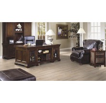 Büro mit Schreibtisch, Bücherschrank, Sessel und Ottomane in einem hellen Raum.