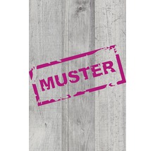 Produktbild: Handmuster Laminat Masterfloor 8.0 Pinie 34619AT