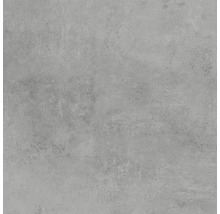 Feinsteinzeug Wand- und Bodenfliese HOMEtek grey matt 100 x 100 cm