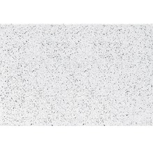 Beton Terrassenplatte iStone Starter quarz 60 x 40 x 4 cm