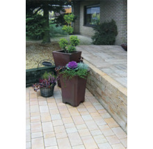 Gartengestaltung mit Pflastersteinen, Hochbeeten und Pflanzen