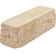 Einzelner Betonstein für den Garten- und Landschaftsbau