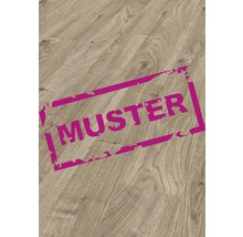 Produktbild: Handmuster Laminat 12.0 Mammut Everest Oak