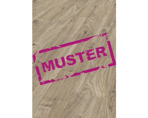 Handmuster Laminat 12.0 Mammut Everest Oak