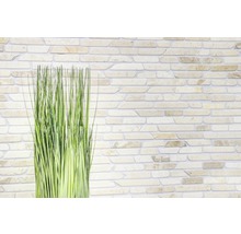 Dekorative grüne Halme vor einer Steinwand