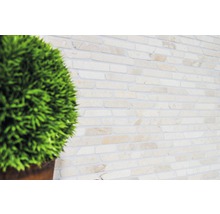 Wandgestaltung mit Steindekor und Pflanze