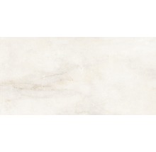 Wand- und Bodenfliese Byron calacatta oro 29,6x59,5cm