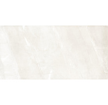 Wand- und Bodenfliese Byron calacatta oro 59,5x119,2cm