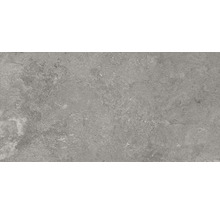 Bodenfliese Ragno Lunar silver 60x120cm
