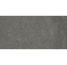Terrassenplatte Steuler Idaho anthrazit 40x80x2cm