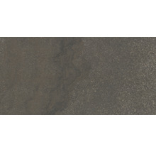 Terrassenplatte Steuler Idaho braun 40x80x2cm