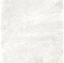 Wand- und Bodenfliese Schiefer weiß 60x60 cm