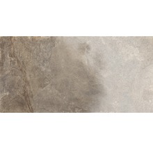 Wand- und Bodenfliese Schiefer taupe 60x120 cm lappato