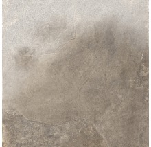 Wand- und Bodenfliese Schiefer taupe 60x60 cm lappato