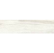 Wand- und Bodenfliese Aretino ivory 15x61 cm R11