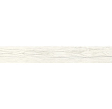 Sockel Aretino ivory 8x45 cm, Inhalt 30 ST