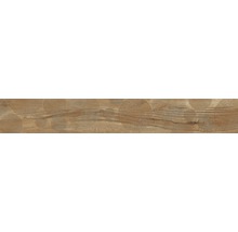Dekorfliese Aretino Infinity nut 26,5x180 cm