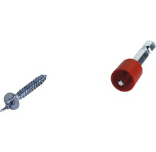 Spanplattenschraube mit Bit