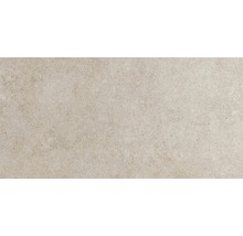 Wand- und Bodenfliese Sandstein beige 30x60 cm