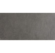 Wand- und Bodenfliese Sandstein schwarz 30x60 cm