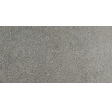 Wand- und Bodenfliese Sandstein grau 30x60 cm
