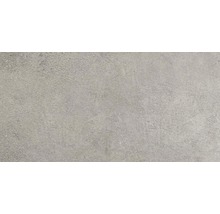Wand- und Bodenfliese Sandstein hellgrau 30x60 cm