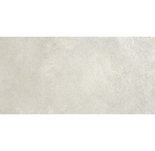 Wand- und Bodenfliese Sandstein weiß 30x60 cm
