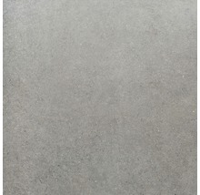 Wand- und Bodenfliese Sandstein grau 80x80 cm