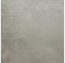 Wand- und Bodenfliese Sandstein braungrau 80x80 cm