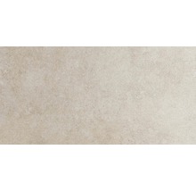Wand- und Bodenfliese Sandstein beige 40x80 cm