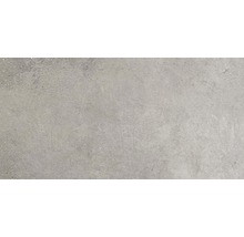 Wand- und Bodenfliese Sandstein hellgrau 40x80 cm