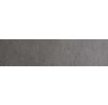 Wand- und Bodenfliese Sandstein schwarz 20x80 cm