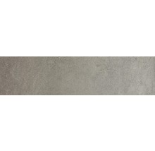 Wand- und Bodenfliese Sandstein braungrau 20x80 cm