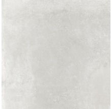 Feinsteinzeug Wand- und Bodenfliese Greenwich perla matt grau 60 x 60 cm